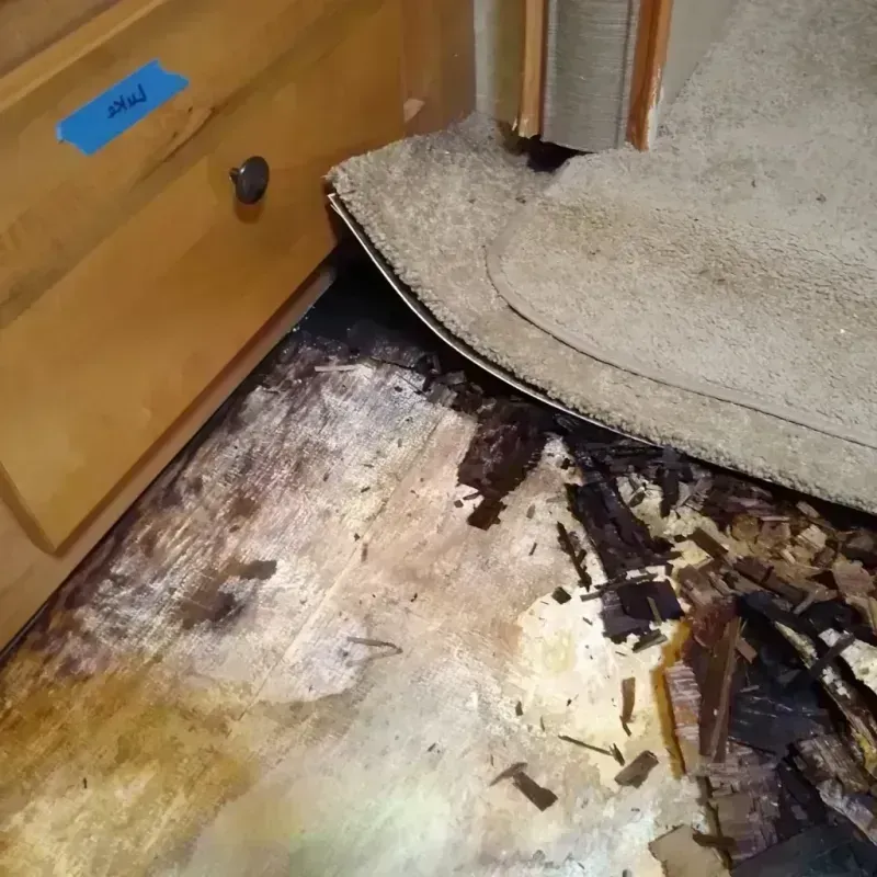 Wood Floor Water Damage in Pleasant Grove, AL